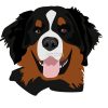 flat750x075f pad750x750f8f8f8 12 - Bernese Mountain Dog Shop