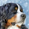 flat750x075f pad750x750f8f8f8 19 - Bernese Mountain Dog Shop