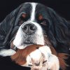 flat750x075f pad750x750f8f8f8 4 - Bernese Mountain Dog Shop