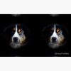 flat750x075f pad750x750f8f8f8.u4 4 - Bernese Mountain Dog Shop