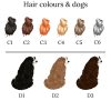 il 1000xN.4272982616 9m9q - Bernese Mountain Dog Shop