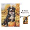 il 1000xN.5149178862 hk1c - Bernese Mountain Dog Shop