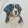 il 1000xN.5408118490 r8k0 - Bernese Mountain Dog Shop