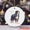 il 1000xN.5411635053 8ylj - Bernese Mountain Dog Shop