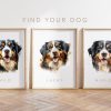 il 1000xN.5490865602 khnx - Bernese Mountain Dog Shop