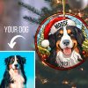 il 1000xN.5501436197 38gk - Bernese Mountain Dog Shop