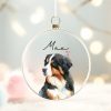 il 1000xN.5635981716 8ii3 - Bernese Mountain Dog Shop