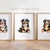 il 1000xN.5642070934 g028 - Bernese Mountain Dog Shop