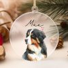 il 1000xN.5684054983 fqzp - Bernese Mountain Dog Shop