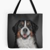 tb1040x1040large c1198800800 bgf8f8f8.u8 33 - Bernese Mountain Dog Shop