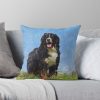 throwpillowsmall1000x bgf8f8f8 c020010001000 14 - Bernese Mountain Dog Shop