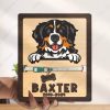 il 1000xN.5980434800 11pc - Bernese Mountain Dog Shop