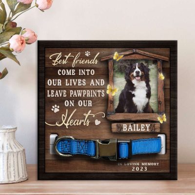 photo 2024 08 15 22 52 56 2 e1723775310326 - Bernese Mountain Dog Gifts