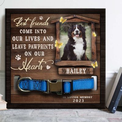 photo 2024 08 15 22 52 56 e1723775237586 - Bernese Mountain Dog Gifts