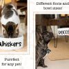 il 1000xN.5366042678 5ykj - Bernese Mountain Dog Shop