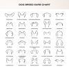 il 1000xN.5431014659 crop - Bernese Mountain Dog Shop